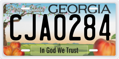 GA license plate CJA0284