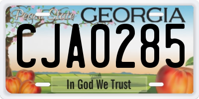 GA license plate CJA0285