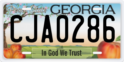 GA license plate CJA0286