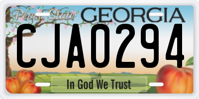 GA license plate CJA0294