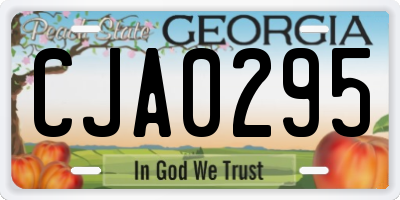 GA license plate CJA0295