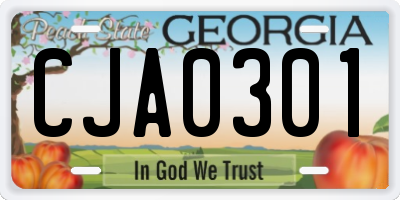 GA license plate CJA0301