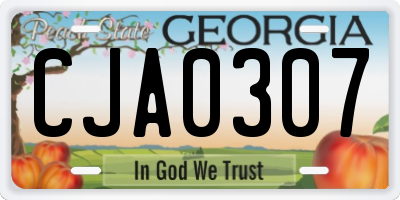 GA license plate CJA0307