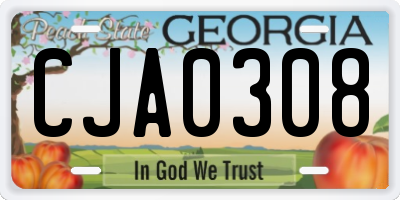 GA license plate CJA0308