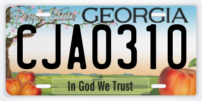 GA license plate CJA0310