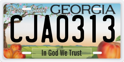 GA license plate CJA0313