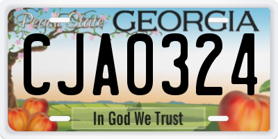 GA license plate CJA0324