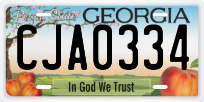 GA license plate CJA0334
