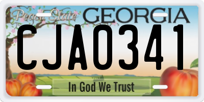 GA license plate CJA0341