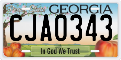 GA license plate CJA0343