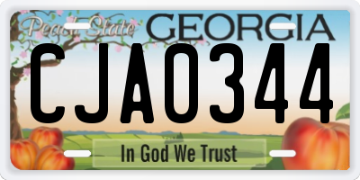 GA license plate CJA0344