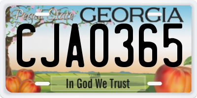 GA license plate CJA0365