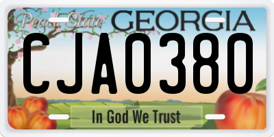 GA license plate CJA0380