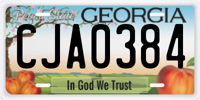 GA license plate CJA0384