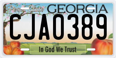 GA license plate CJA0389