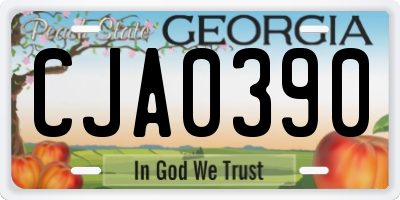 GA license plate CJA0390