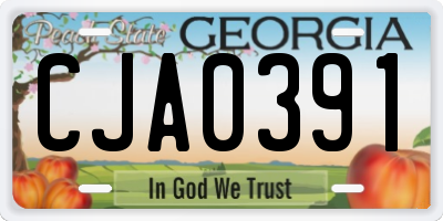 GA license plate CJA0391