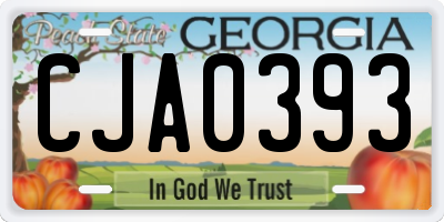 GA license plate CJA0393