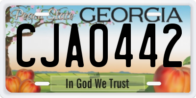 GA license plate CJA0442
