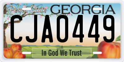 GA license plate CJA0449