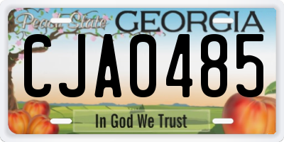 GA license plate CJA0485