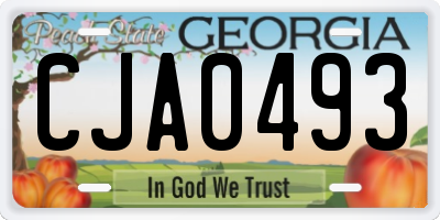 GA license plate CJA0493