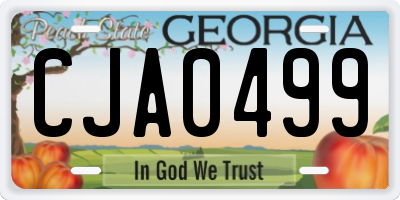 GA license plate CJA0499