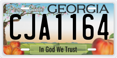 GA license plate CJA1164