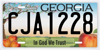 GA license plate CJA1228