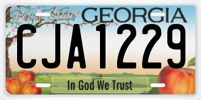 GA license plate CJA1229