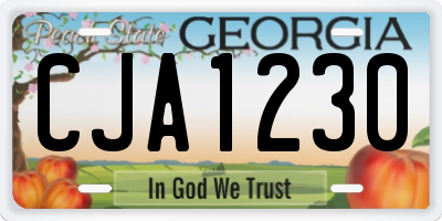GA license plate CJA1230