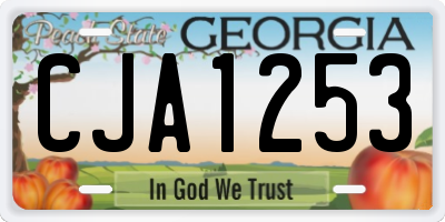 GA license plate CJA1253