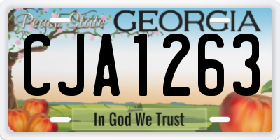 GA license plate CJA1263