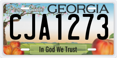 GA license plate CJA1273