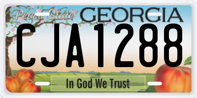 GA license plate CJA1288