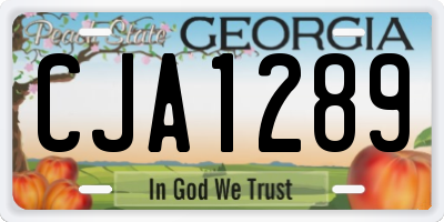 GA license plate CJA1289