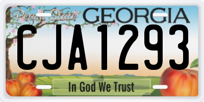 GA license plate CJA1293