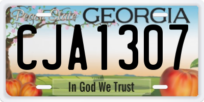 GA license plate CJA1307