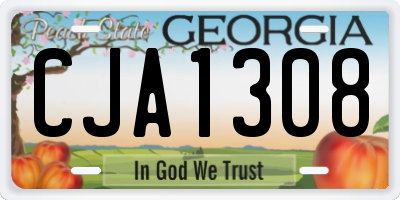 GA license plate CJA1308