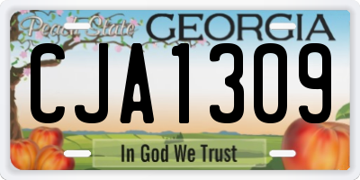 GA license plate CJA1309