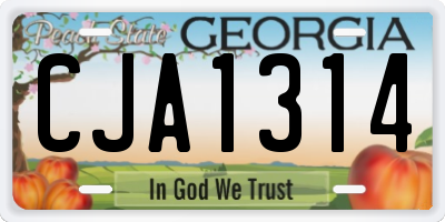 GA license plate CJA1314