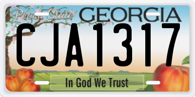 GA license plate CJA1317
