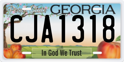 GA license plate CJA1318