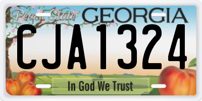 GA license plate CJA1324