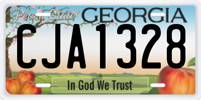 GA license plate CJA1328