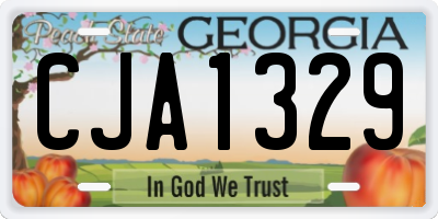 GA license plate CJA1329