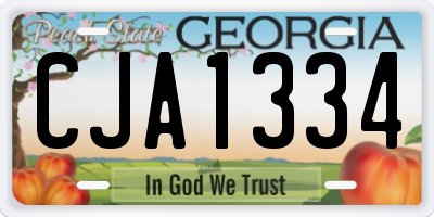 GA license plate CJA1334