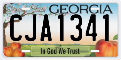 GA license plate CJA1341