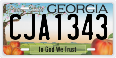 GA license plate CJA1343