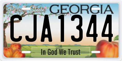 GA license plate CJA1344